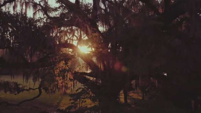 The Other Florida