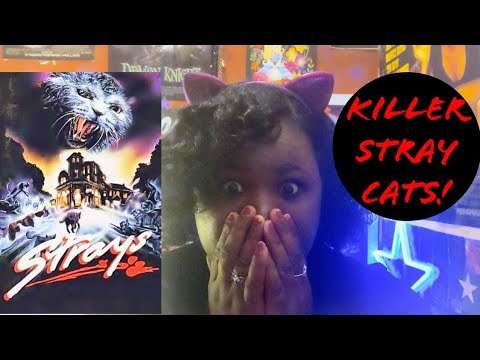Strays (1991) Review