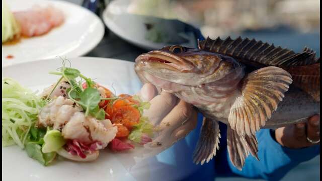 Ensenada Baja California experience