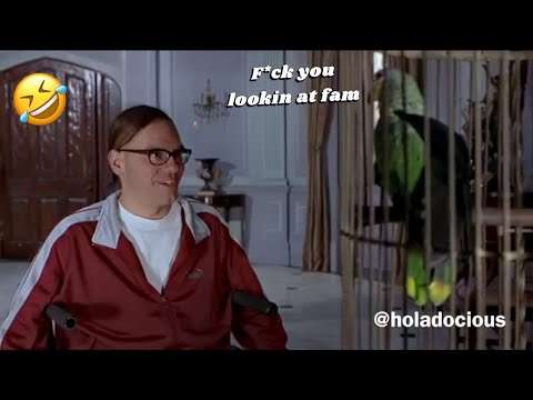 Animals in Movies (Voice dubs)