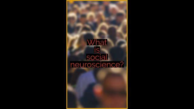 ❓ What is social neuroscience?❓