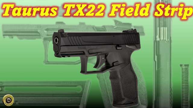 Taurus TX22 Field Strip