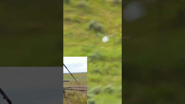 Howa ORYX Bolt Action Rifle in 6mm Creedmoor at 800 Yards!