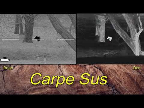 4 Boars 4 Hunts: Stationary, Moving, Small, Big