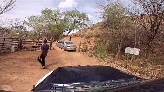 Toyota Car crashes through the Trees!