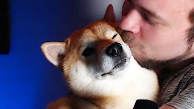 my dog won't let me talk about Mass Effect