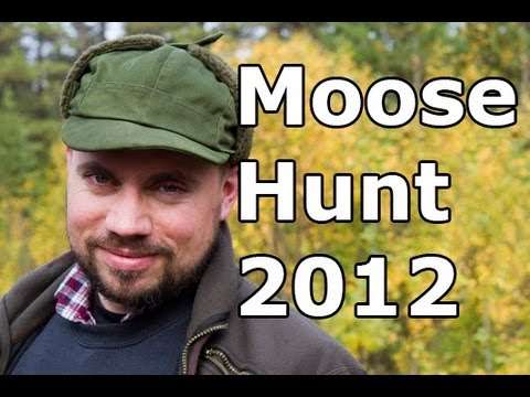 Moose hunt 2012 Sweden