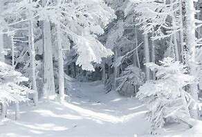 Warning of a Wide Blizzard Coming
