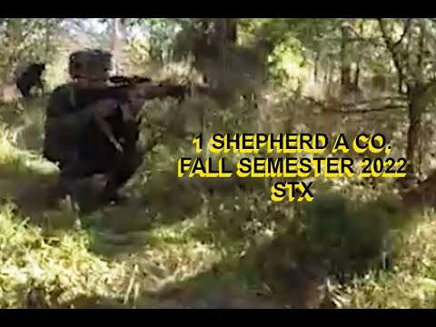 Aco 1 Shepherd Fall 2022 STX