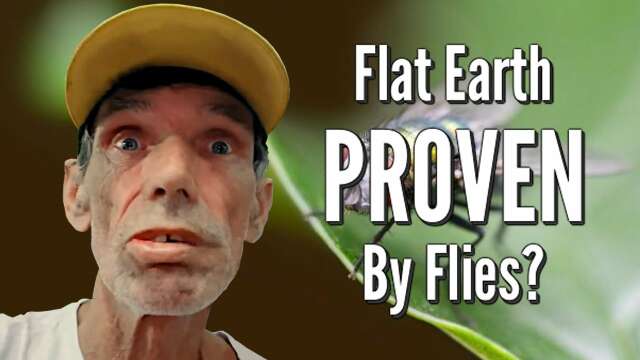 Flat Earth PROVEN By Flies?