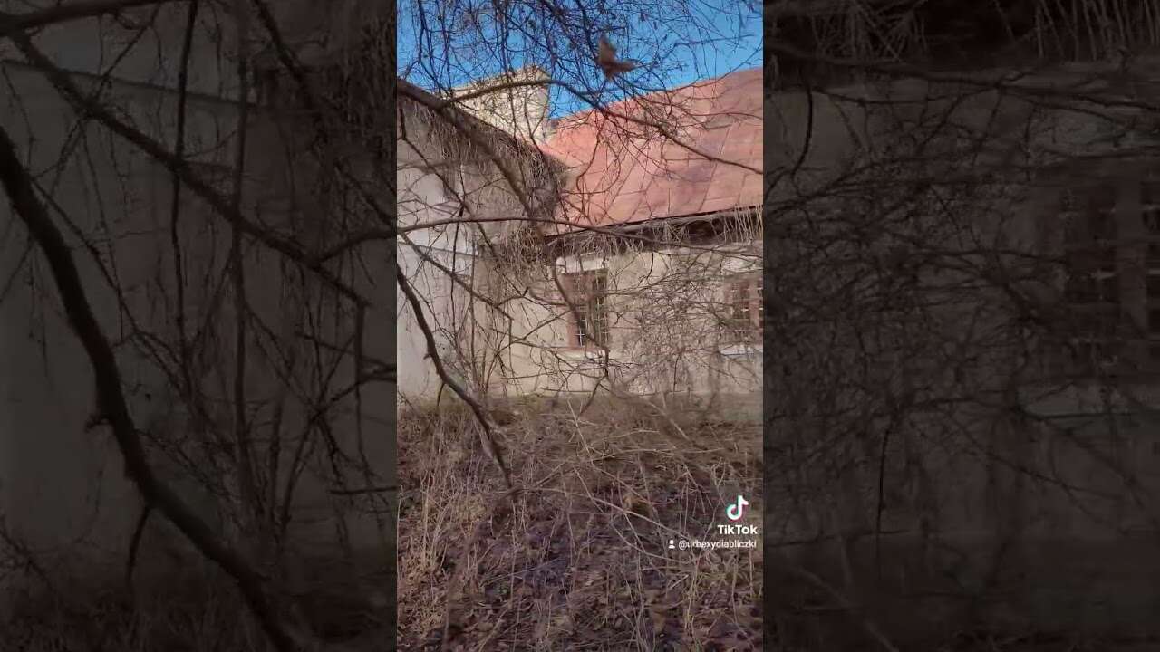 PLEBANIA W ZAROŚLACH #shorts